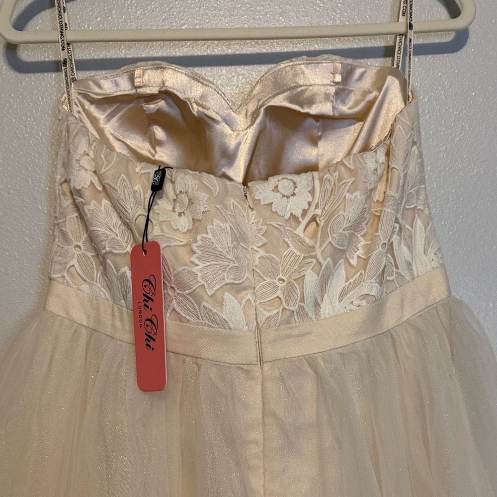 Chi Chi London Beautiful Blush Pink Lace Detail and Tulle Tea Length Dress - Picture 6 of 7